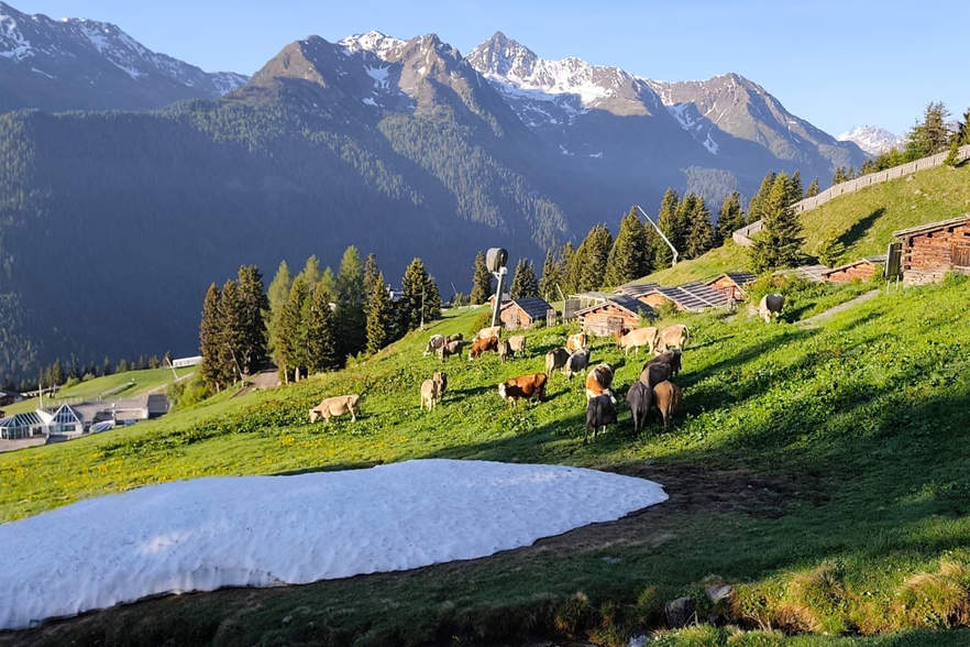 Oben Hochbetrieb