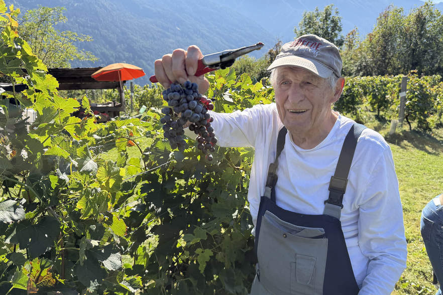 Seit 1992 Weinbaupionier in Telfs