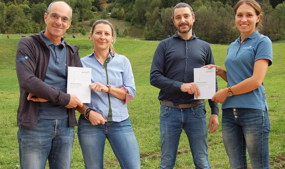 Die Waldameise räumt auf