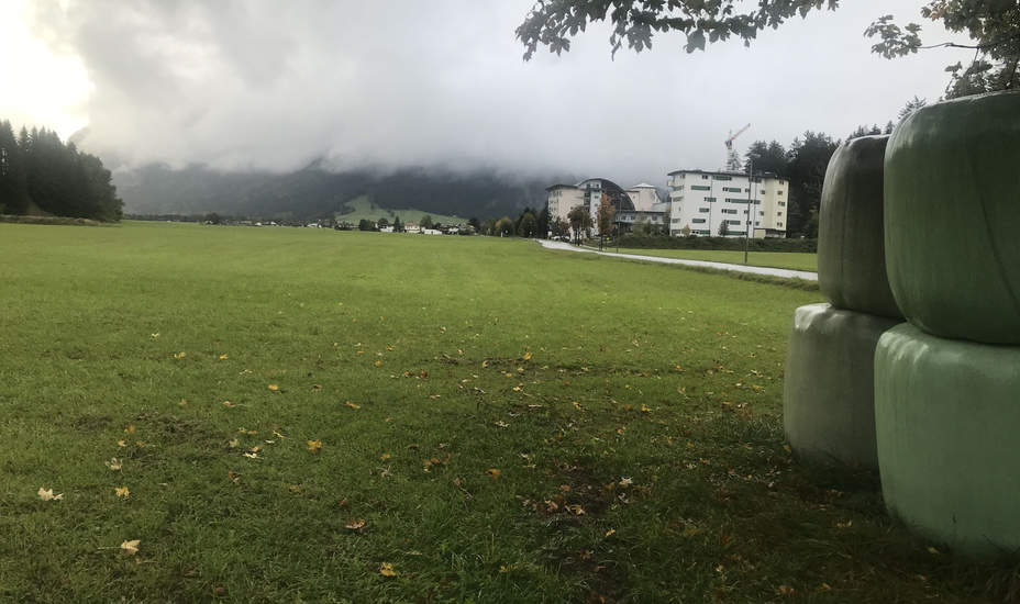 Zombie muss weiterwandern