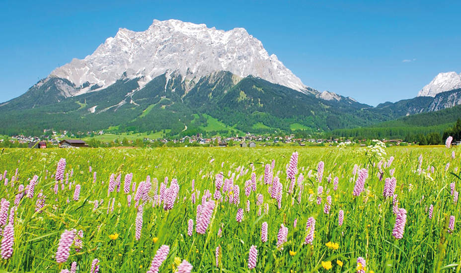 Regionalität überwindet Staatsgrenze