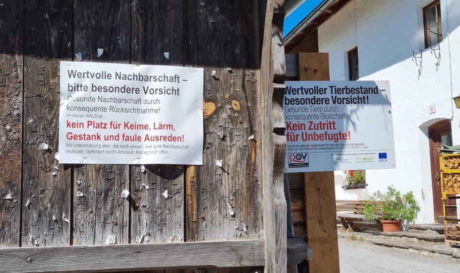 Ewig lockt die Putenfarm<br />

