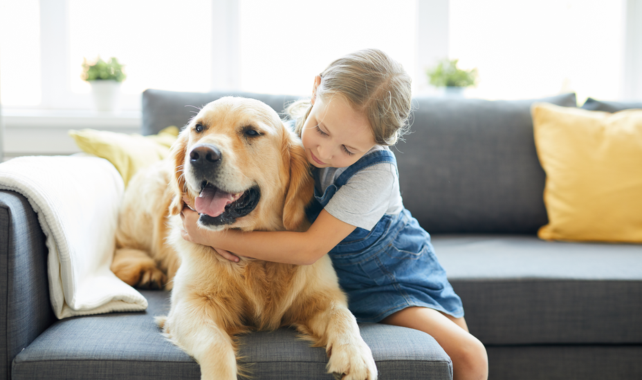 Hundesteuer im Fokus