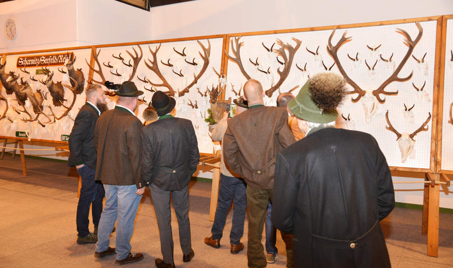 Beutegreifer sind großes Problem der Jagd