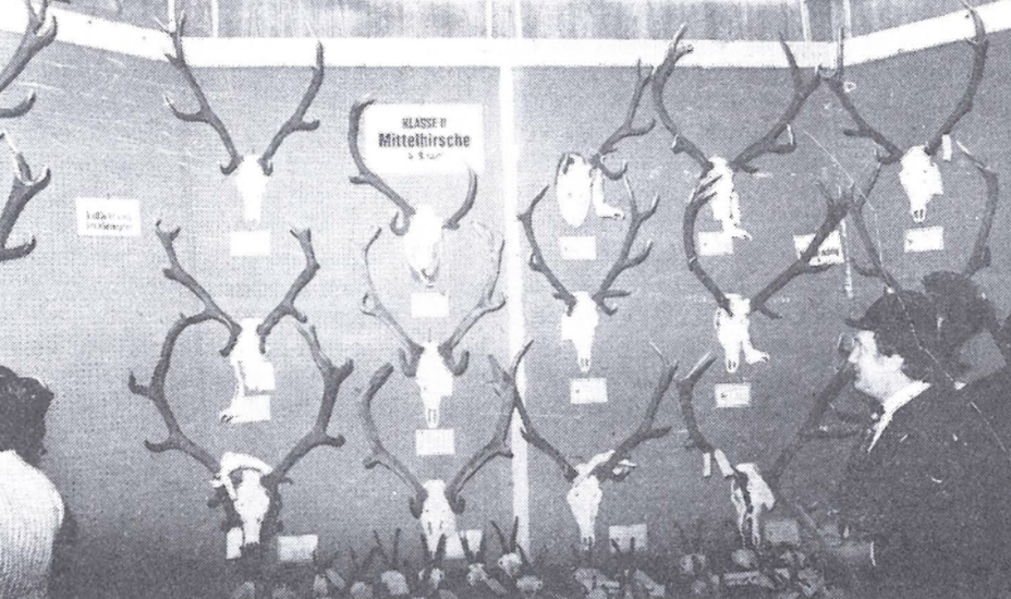 Große Trophäenschau und wachsende Herausforderungen
