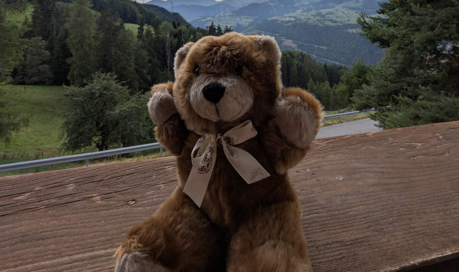 Kleiner Bär soll große Angst lindern