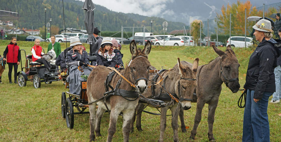 Tradition und Segen beim Leonhardiritt<br />
