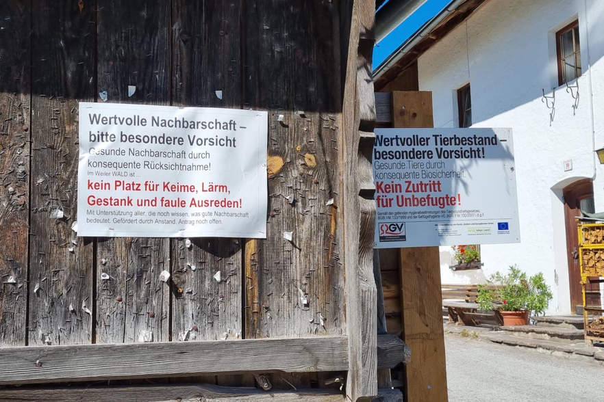 Ewig lockt die Putenfarm<br />
