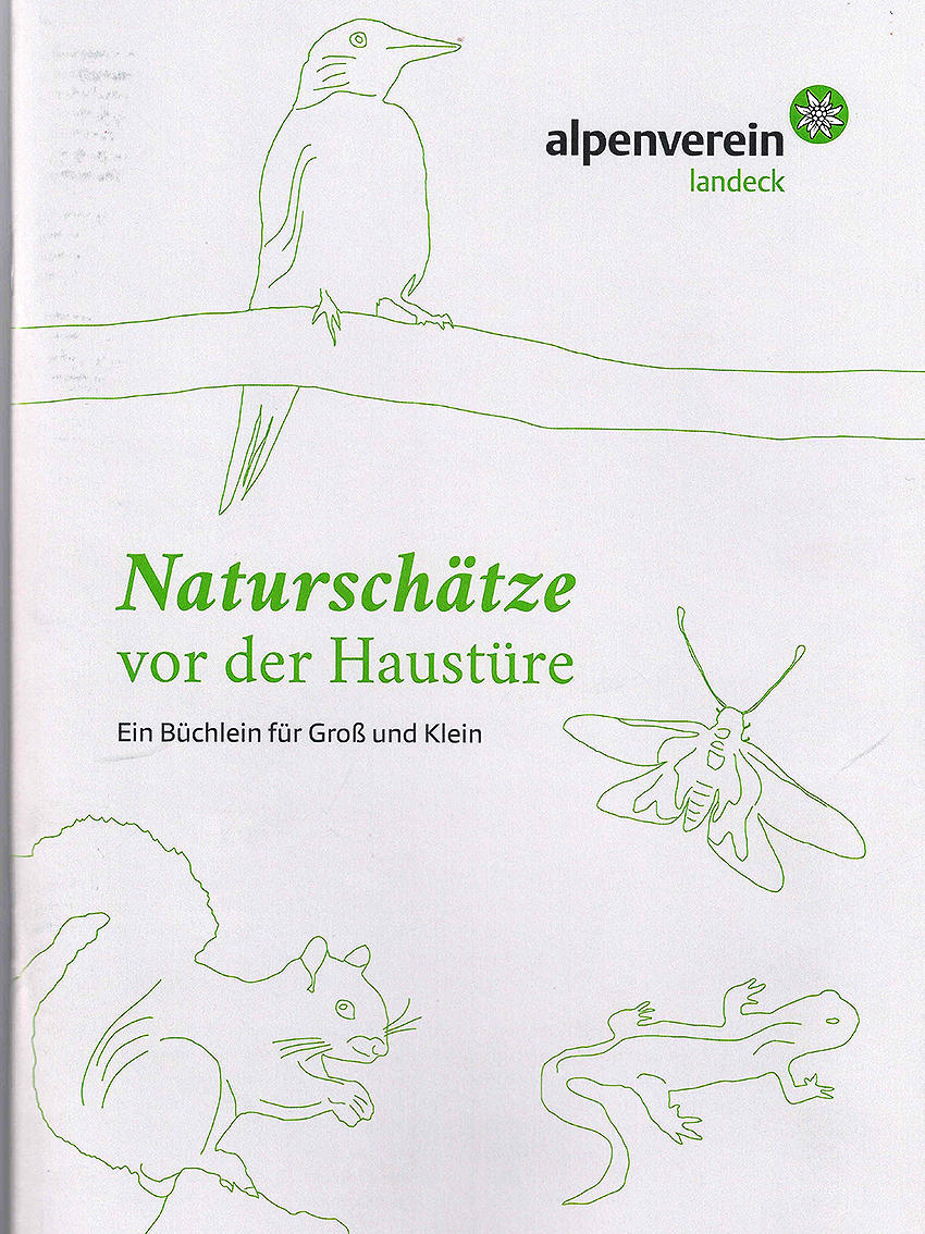 Die Waldameise räumt auf