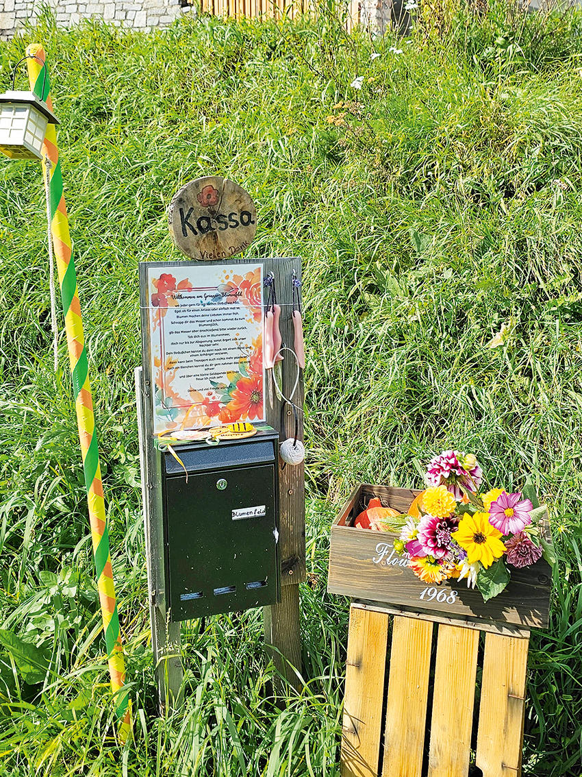 Feld der Blumenträume