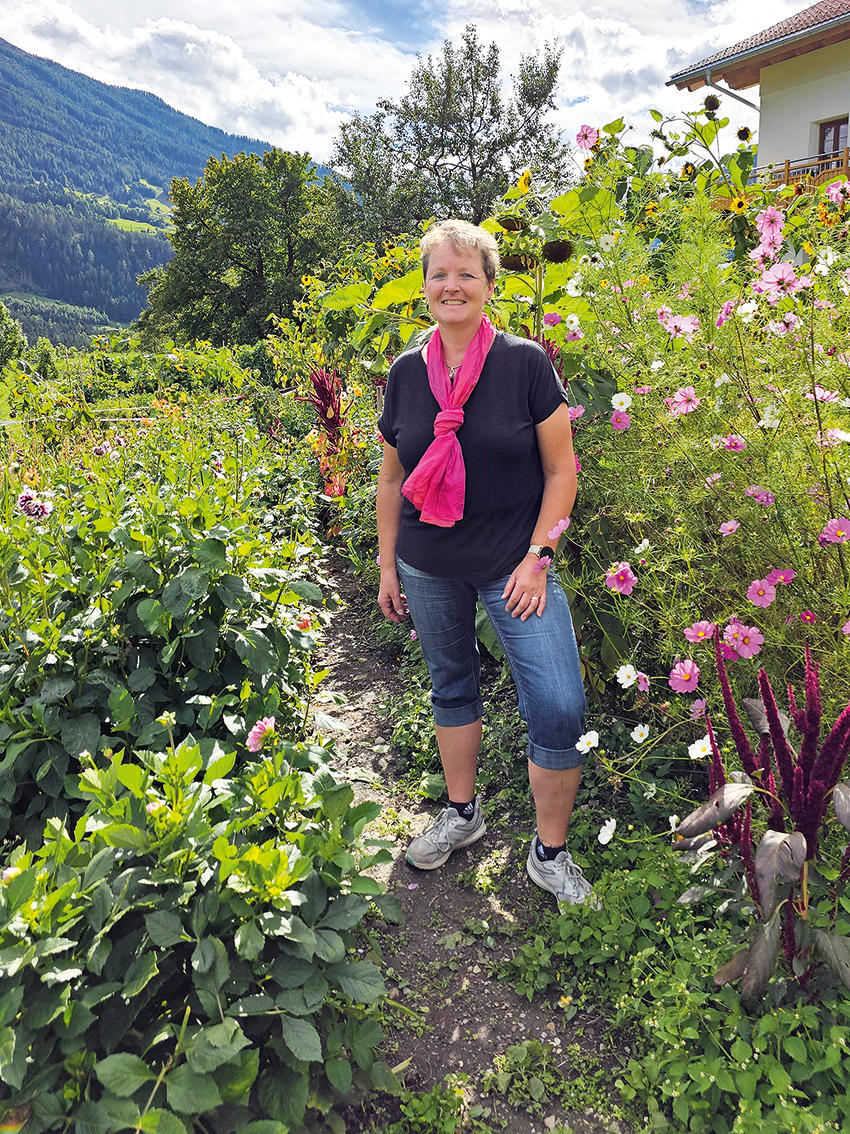 Feld der Blumenträume