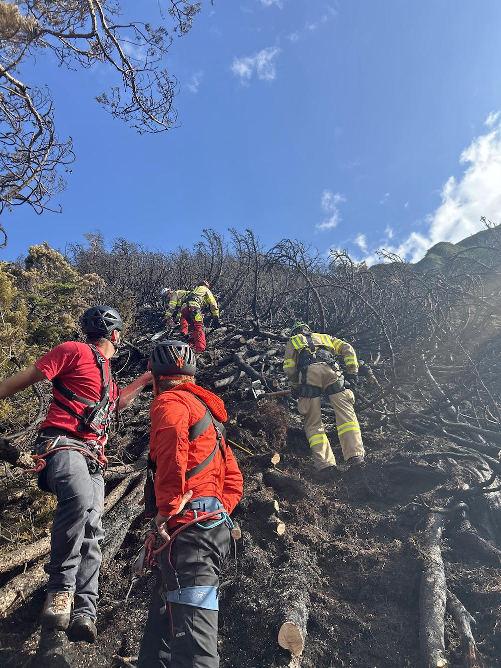 Großeinsatz bei Waldbrand in Wildermieming