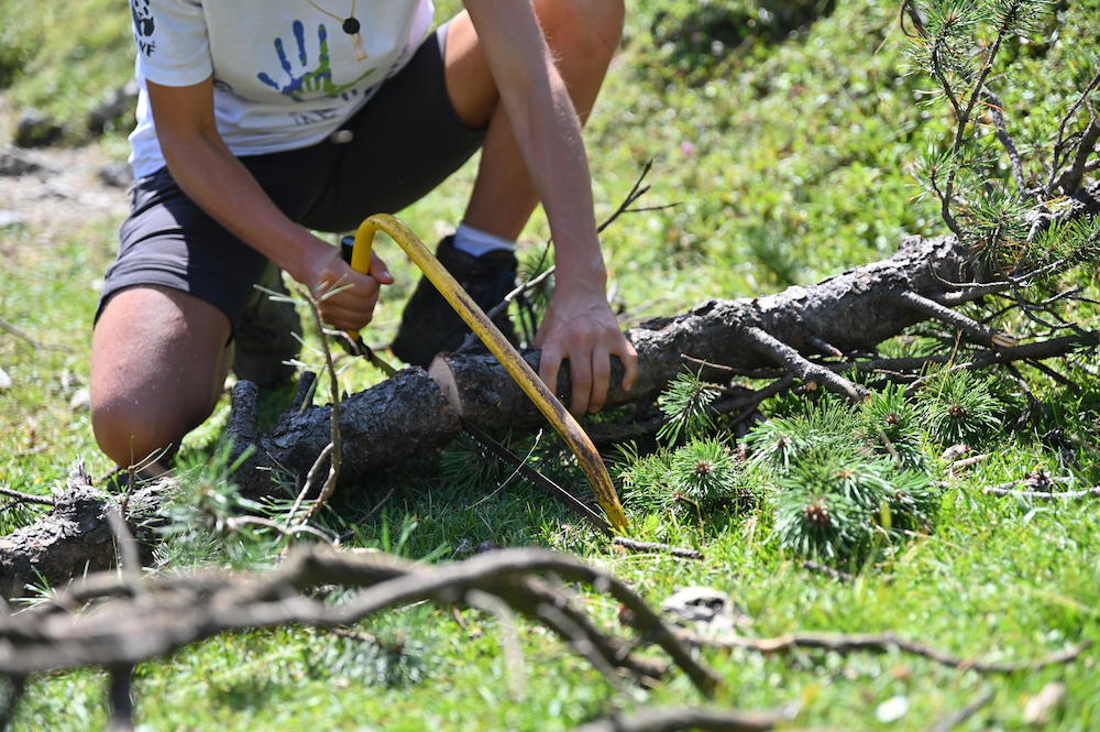 Harte Arbeit bei der Berglandschafts-Pflege