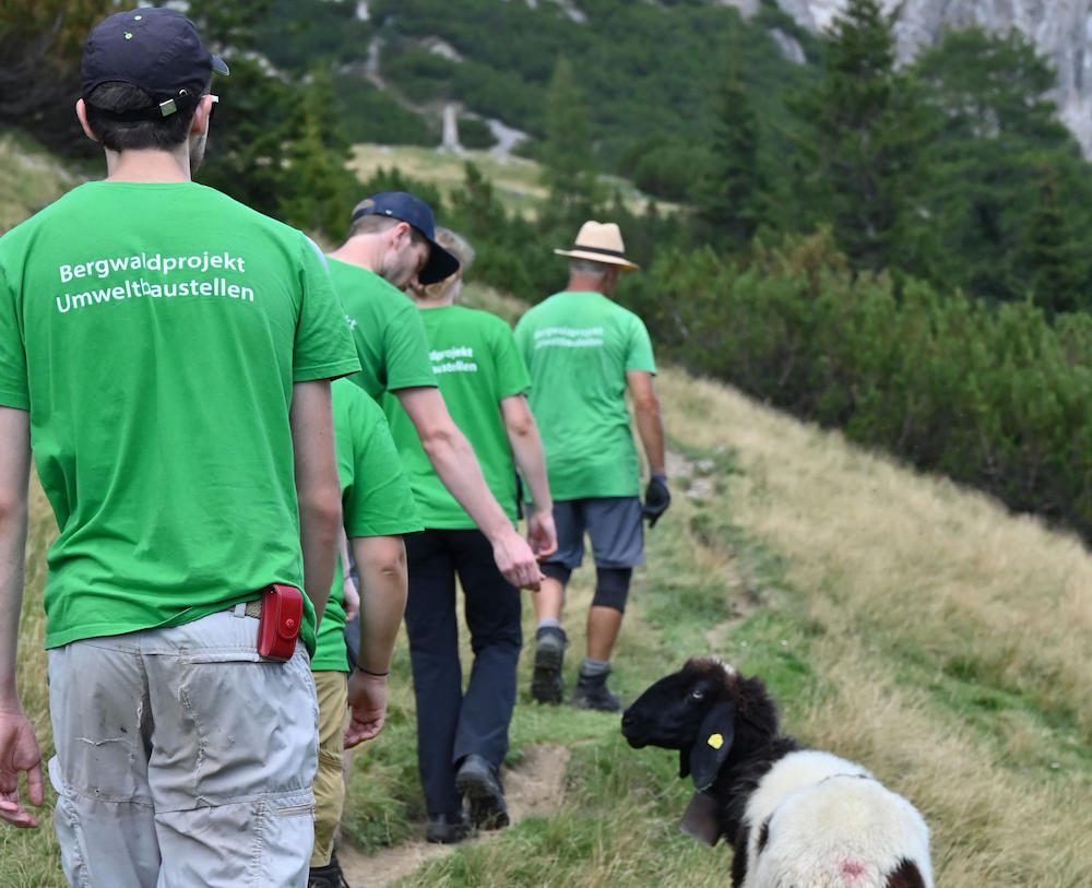 Harte Arbeit bei der Berglandschafts-Pflege