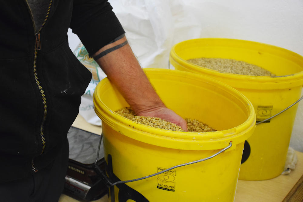In Hatting wird der Gerstensaft gebraut