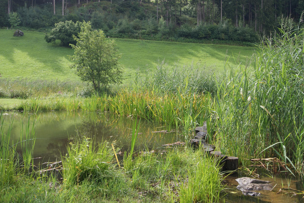 Naturjuwel wiederbelebt