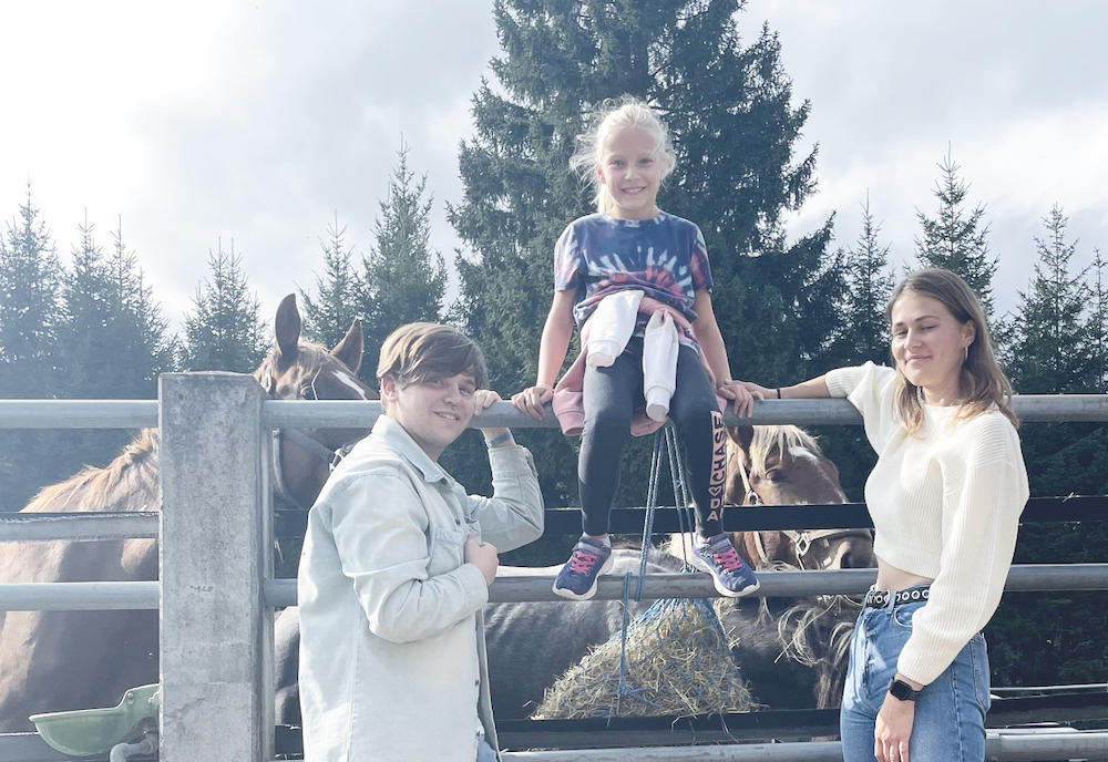 Ich glaub, mich tritt ein Pferd