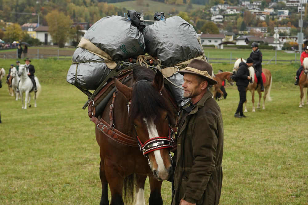 Tradition und Segen beim Leonhardiritt<br />