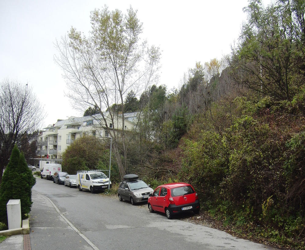 Wildparker sorgen für Ärger