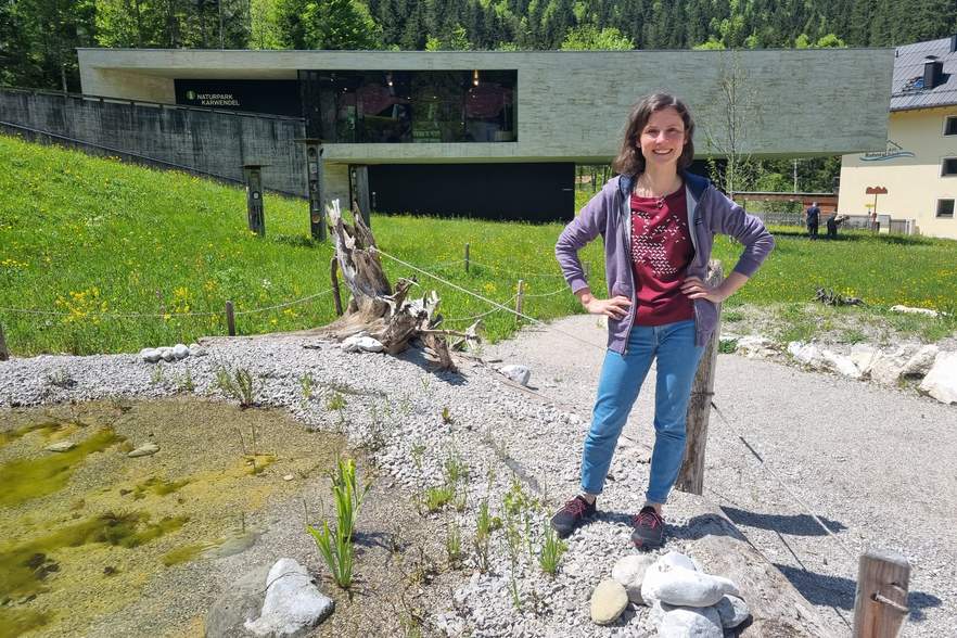 Wildbienen, Orchideen und Sterne schauen