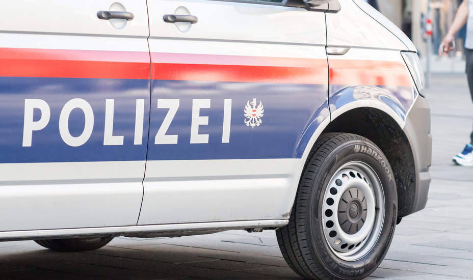 Einbrecher gefasst