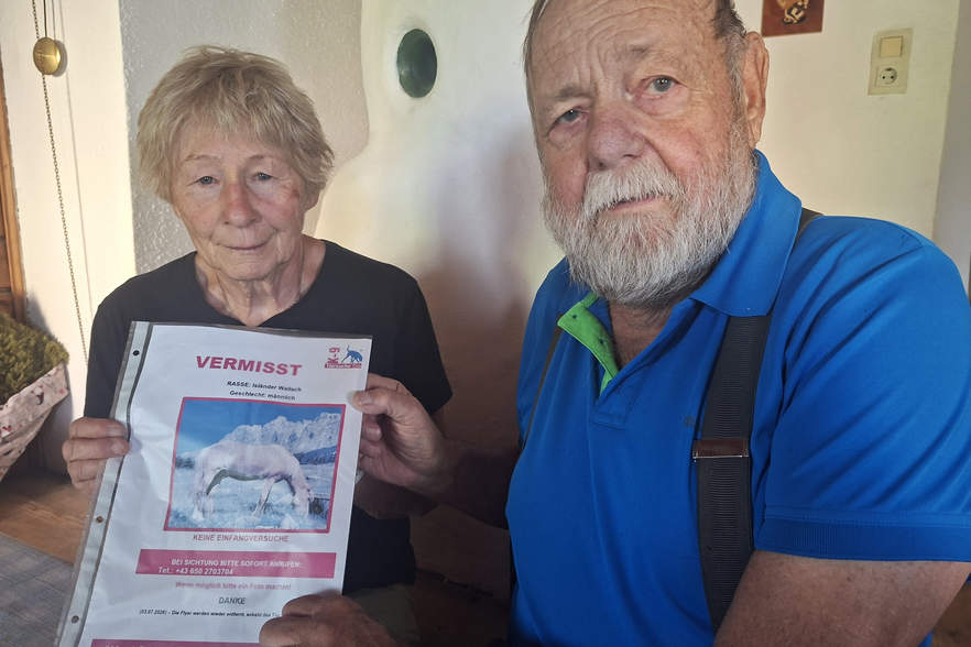 „Isländer Wallach“ spurlos verschwunden