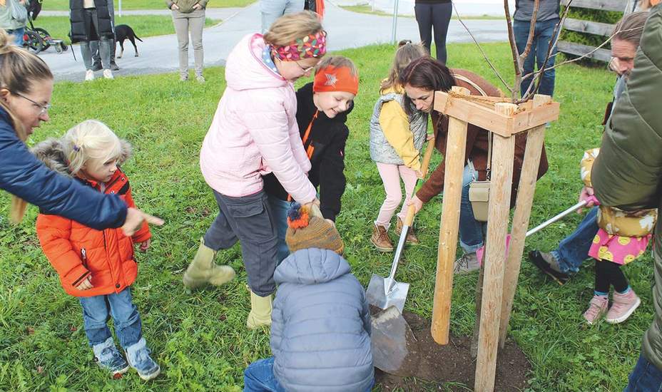„Renew4grow“ – Weil wir wertvoll sind