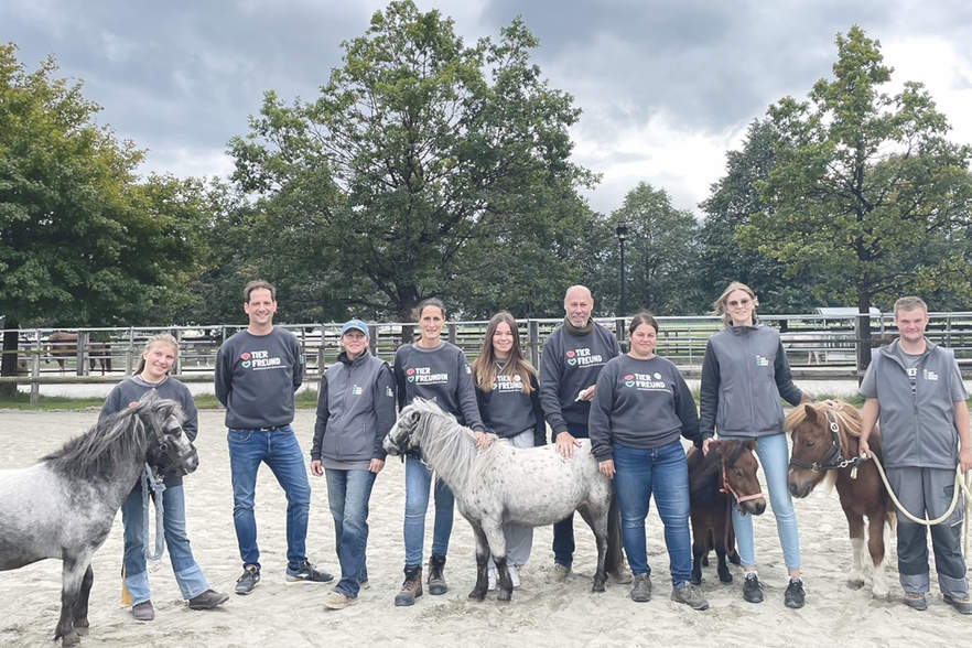 Ich glaub, mich tritt ein Pferd