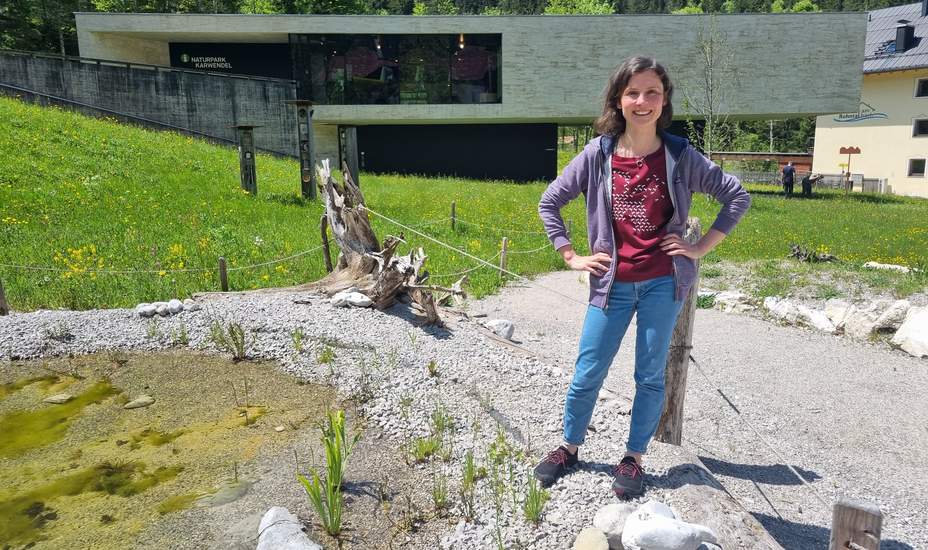 Wildbienen, Orchideen und Sterne schauen