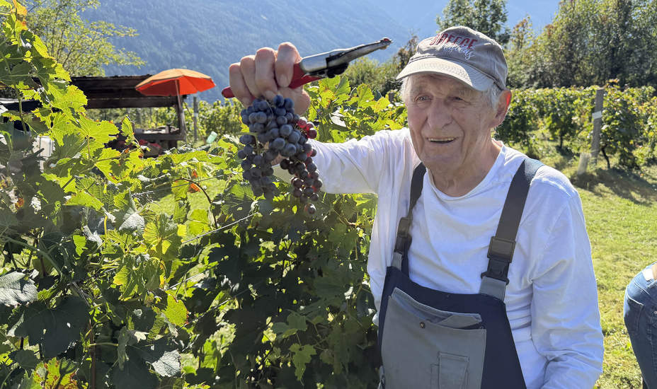 Seit 1992 Weinbaupionier in Telfs